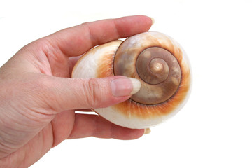 Ryssota Oheitana