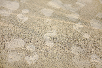 Fototapeta na wymiar footprints after rain