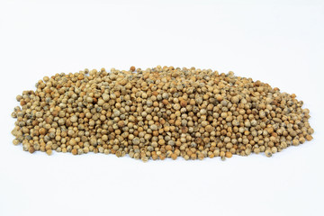 Seeds of coriander on pile.