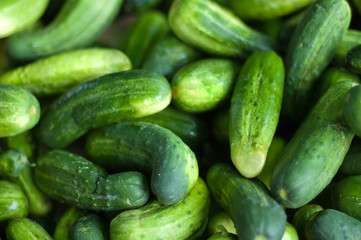 Cucumbers on a market