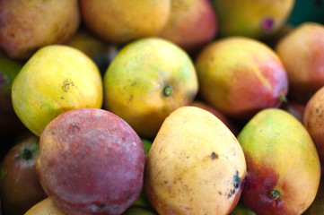 Red and yellow mangos