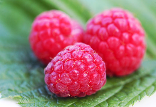 Himmbere Images – Browse 9 Stock Photos, Vectors, and Video | Adobe Stock