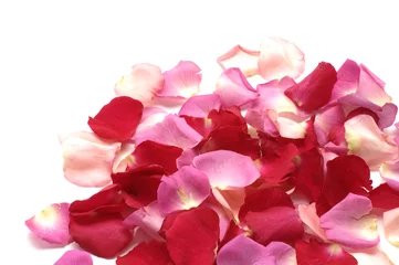 Keuken spatwand met foto Border of White and red rose petals © Mee Ting