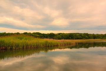 Summer morning on lake
