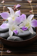 Orchids and massage stones on mat