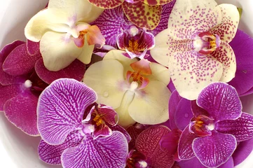 Keuken spatwand met foto Background of Bowl of colorful orchid © Mee Ting