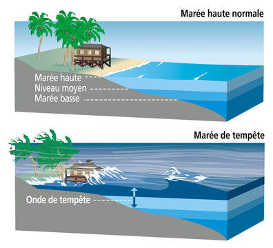 Cyclones, ouragans et typhons -