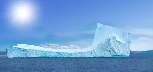 Rolgordijnen Antarctic ice island © Igor Chaikovskiy