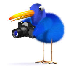3d Blue bird  photographer
