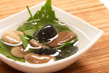 zen stones and leaves .