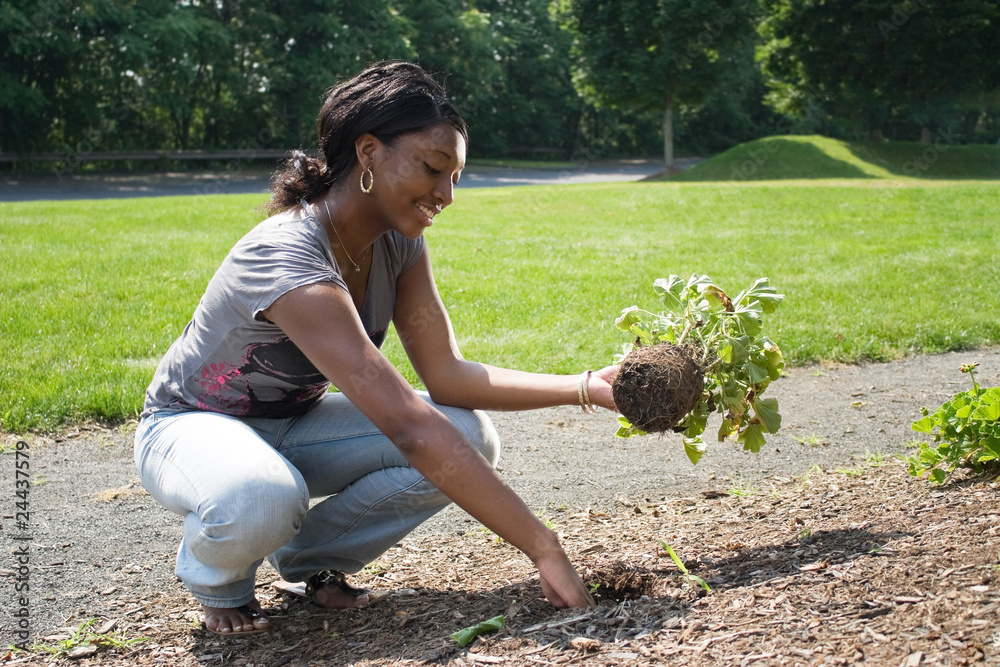 Wall mural woman planting flowers