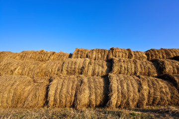 Bales of straw stacked under blue sky