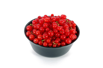 Red currants