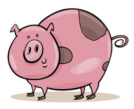 farm animals: spotted pig