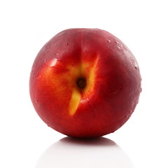 pesca in fondo bianco