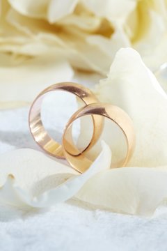 golden rings and  rose petals