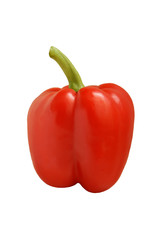 Bulgarian pepper