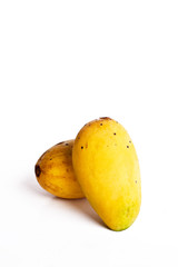 Isolated of mangoes