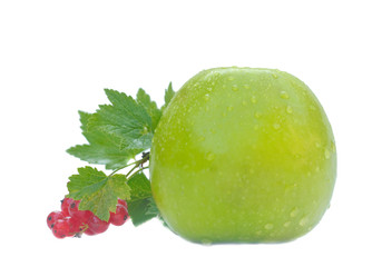 Apple and red currant