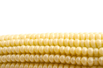corn