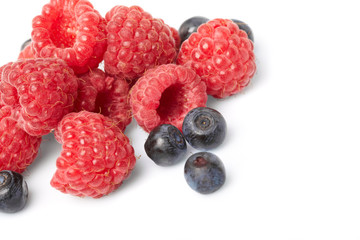 berries on white background