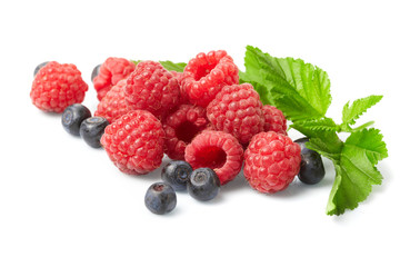 berries on white background
