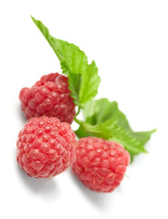 fresh raspberries on the white