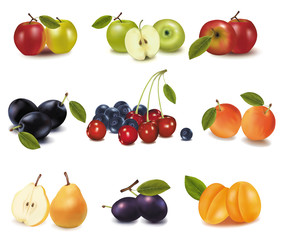 Group of different tasty ripe fruit. Vector.