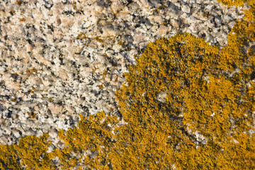 Granit - Sardinien, Italien
