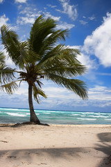 Obraz na płótnie Canvas Tropical Paradise at caribbean