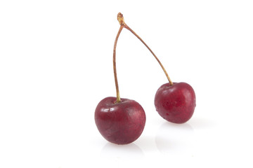 cherry