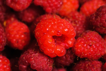 Rasberry background