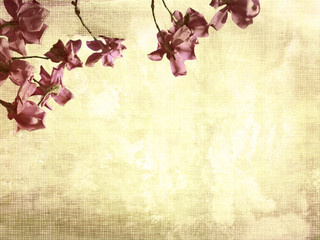 Beautiful grunge background with magnolia