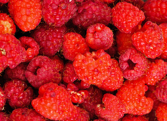 Rasberry background
