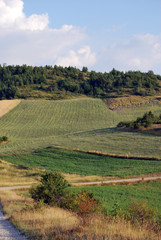 Fototapeta premium Montebufo_12