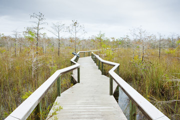 Naklejka na ściany i meble Everglades National Park, Floryda, USA