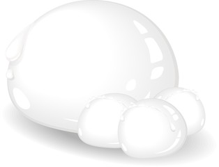 Mozzarella Fresca-Vector