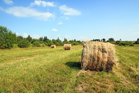 hay in stack