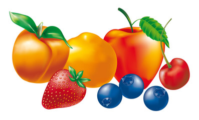 fruits illustration