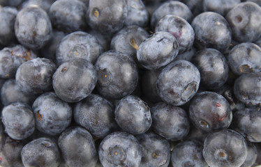 Blueberries