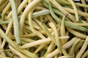 Haricots