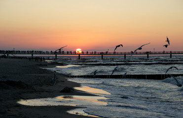 Seebr&uuml;cke Koserow Usedom