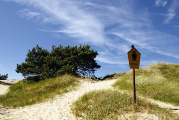 Naturschutzgebiet Hiddensee