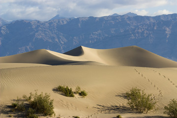 Fototapeta na wymiar sand dunes death valley