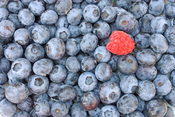 Fresh blueberries and raspberry