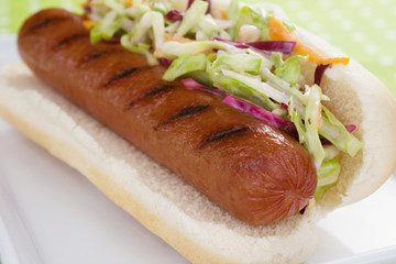 Hot Dog With Cole Slaw