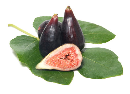 fichi su foglia di fico