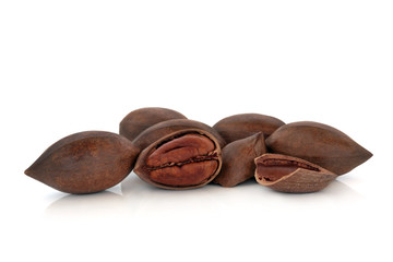 Pecan Nuts
