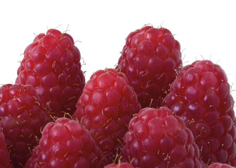 Scottish Raspberries 03