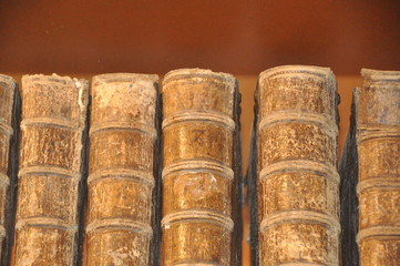 Buchrücken alter Bücher